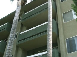 Exterior of Apartment Complex